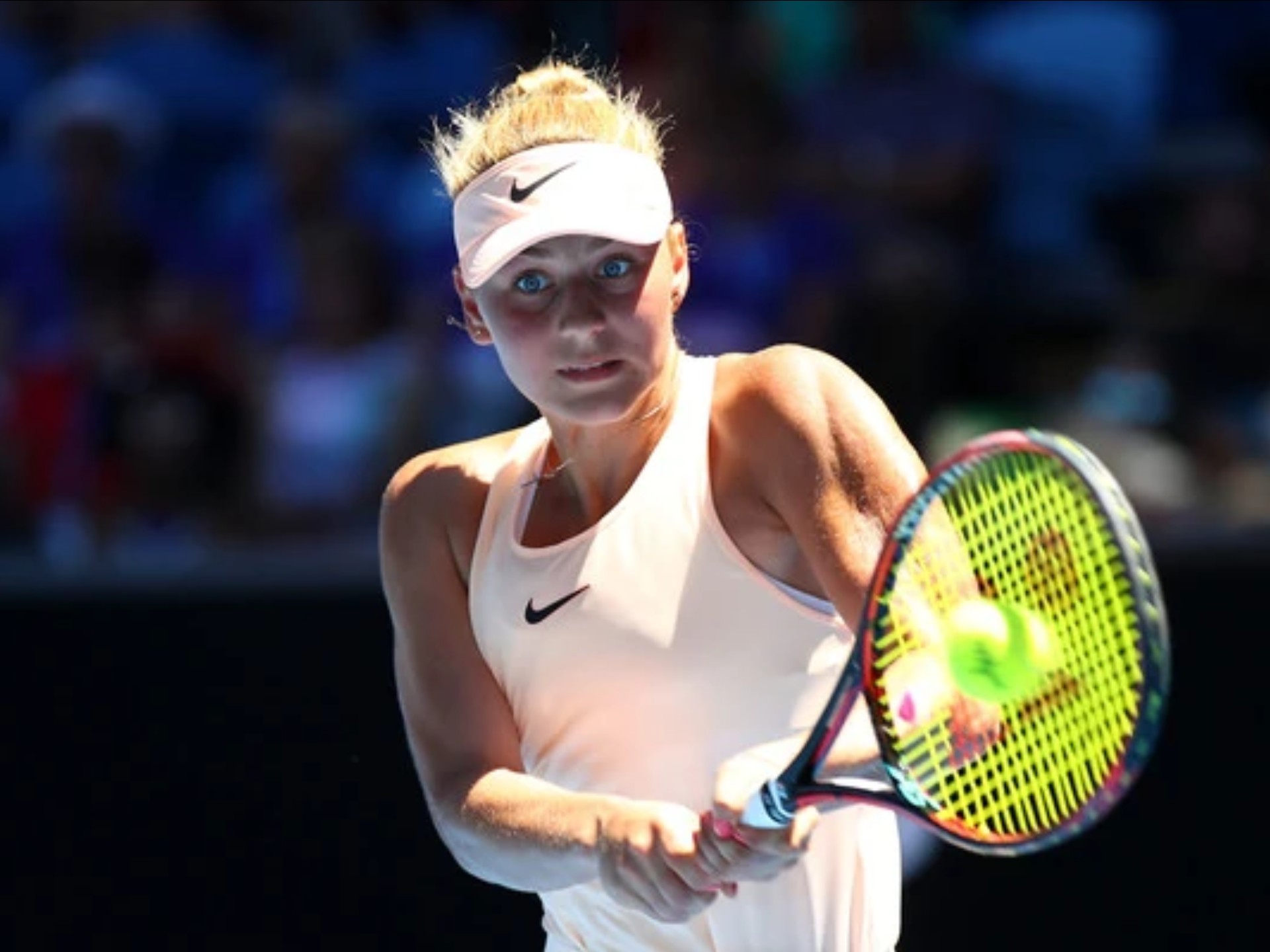 盛的荷兰年 盛的荷兰年